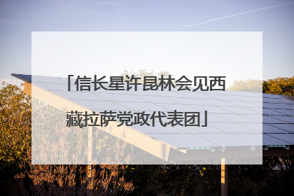 信长星许昆林会见西藏拉萨党政代表团
