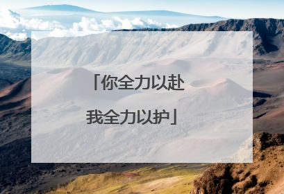 你全力以赴 我全力以护