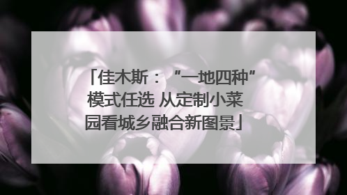 佳木斯：“一地四种” 模式任选 从定制小菜园看城乡融合新图景