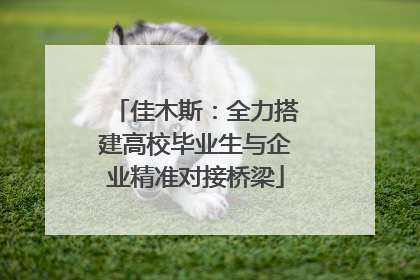 佳木斯：全力搭建高校毕业生与企业精准对接桥梁