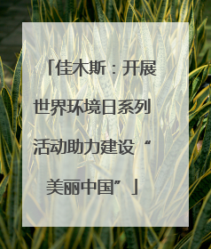佳木斯：开展世界环境日系列活动助力建设“美丽中国”