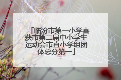 临汾市第一小学喜获市第二届中小学生运动会市直小学组团体总分第一
