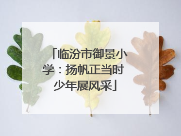 临汾市御景小学：扬帆正当时 少年展风采