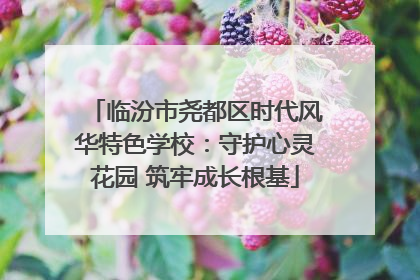 临汾市尧都区时代风华特色学校：守护心灵花园 筑牢成长根基
