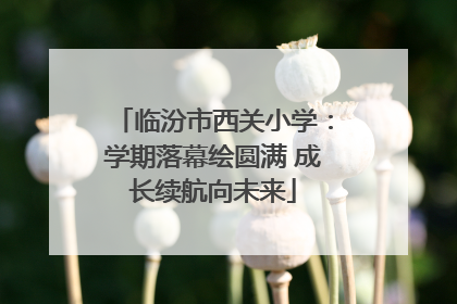 临汾市西关小学：学期落幕绘圆满 成长续航向未来