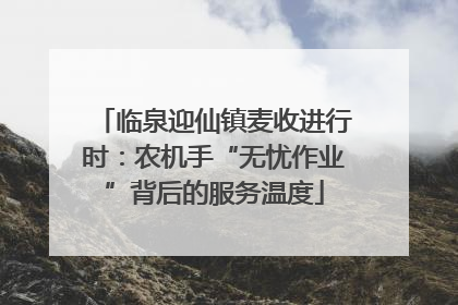 临泉迎仙镇麦收进行时：农机手“无忧作业”背后的服务温度
