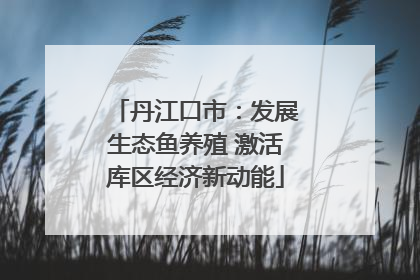 丹江口市：发展生态鱼养殖 激活库区经济新动能