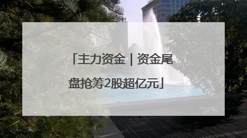 主力资金｜资金尾盘抢筹2股超亿元