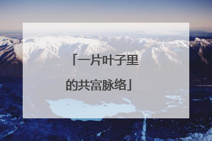 一片叶子里的共富脉络