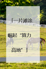 一片滩涂崛起“算力高地”
