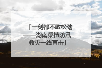 一刻都不敢松劲——湖南桑植防汛救灾一线直击