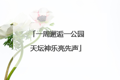一周邂逅一公园 天坛神乐亮先声