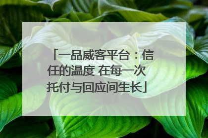 一品威客平台：信任的温度 在每一次托付与回应间生长