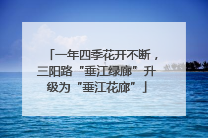 一年四季花开不断，三阳路“垂江绿廊”升级为“垂江花廊”