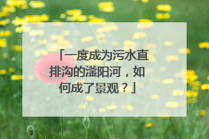 一度成为污水直排沟的滏阳河，如何成了景观？