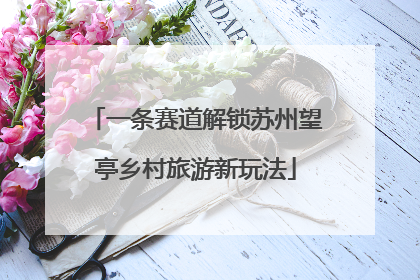 一条赛道解锁苏州望亭乡村旅游新玩法
