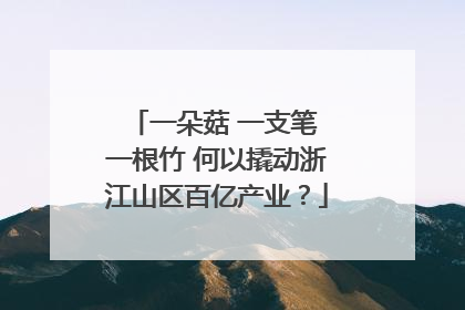 一朵菇 一支笔 一根竹 何以撬动浙江山区百亿产业？