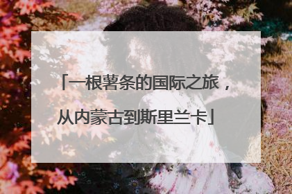 一根薯条的国际之旅，从内蒙古到斯里兰卡