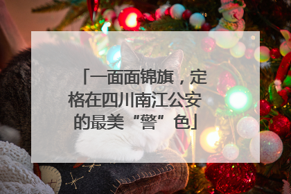 一面面锦旗，定格在四川南江公安的最美“警”色