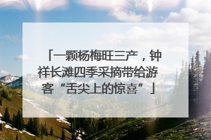 一颗杨梅旺三产，钟祥长滩四季采摘带给游客“舌尖上的惊喜”