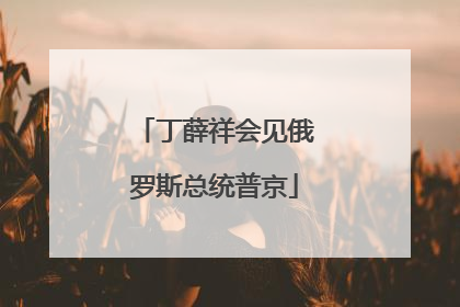 丁薛祥会见俄罗斯总统普京