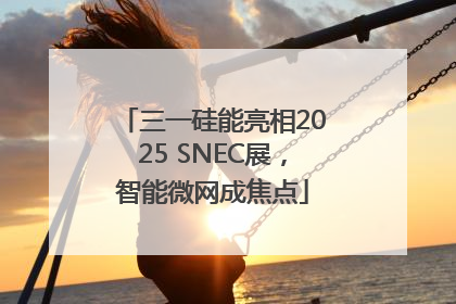 三一硅能亮相2025 SNEC展，智能微网成焦点