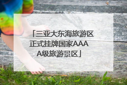 三亚大东海旅游区正式挂牌国家AAAA级旅游景区