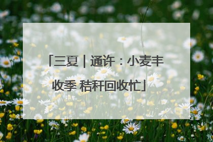 三夏｜通许：小麦丰收季 秸秆回收忙
