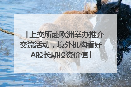 上交所赴欧洲举办推介交流活动，境外机构看好A股长期投资价值