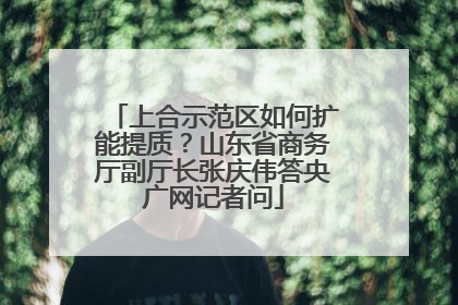 上合示范区如何扩能提质？山东省商务厅副厅长张庆伟答央广网记者问