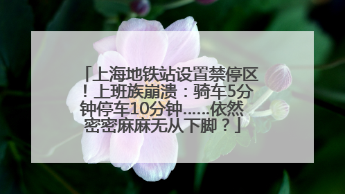 上海地铁站设置禁停区！上班族崩溃：骑车5分钟停车10分钟……依然密密麻麻无从下脚？