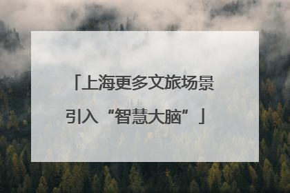 上海更多文旅场景引入“智慧大脑”