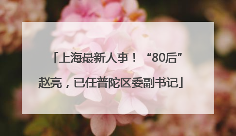 上海最新人事！“80后”赵亮，已任普陀区委副书记