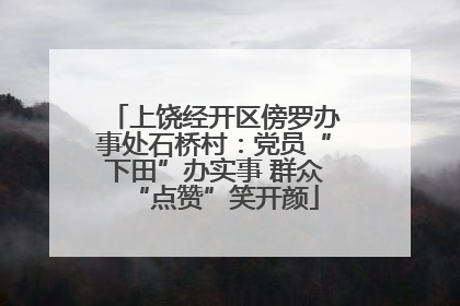 上饶经开区傍罗办事处石桥村：党员“下田”办实事 群众“点赞”笑开颜