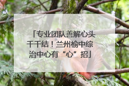 专业团队善解心头千千结！兰州榆中综治中心有“心”招
