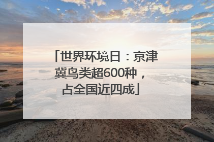 世界环境日：京津冀鸟类超600种，占全国近四成