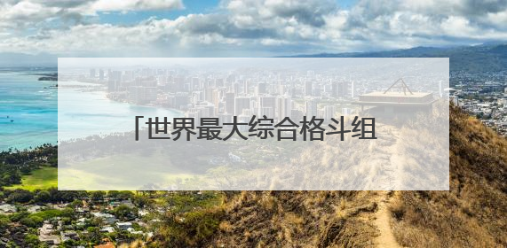 世界最大综合格斗组织重启上海站 UFC格斗之夜8月上演