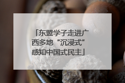 东盟学子走进广西多地“沉浸式”感知中国式民主
