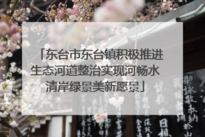 东台市东台镇积极推进生态河道整治实现河畅水清岸绿景美新愿景