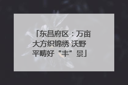 东昌府区：万亩大方织锦绣 沃野平畴好“丰”景
