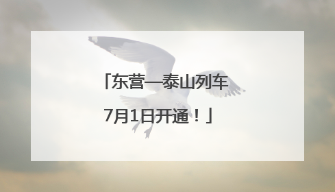 东营—泰山列车7月1日开通！