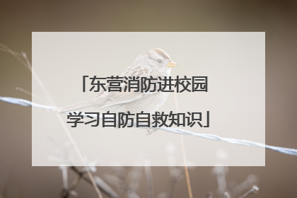东营消防进校园 学习自防自救知识
