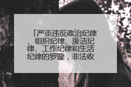 严重违反政治纪律、组织纪律、廉洁纪律、工作纪律和生活纪律的罗璇，非法收受他人巨额财物