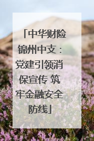 中华财险锦州中支：党建引领消保宣传 筑牢金融安全防线