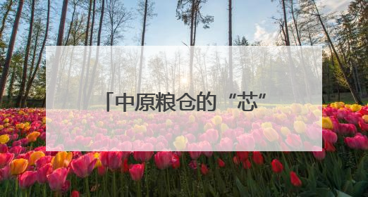中原粮仓的“芯”动能——“打赢这一战 底气从何来”系列观察之四