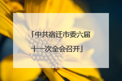 中共宿迁市委六届十一次全会召开