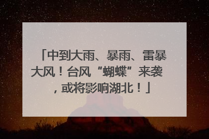 中到大雨、暴雨、雷暴大风！台风“蝴蝶”来袭，或将影响湖北！