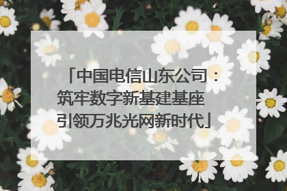中国电信山东公司：筑牢数字新基建基座 引领万兆光网新时代