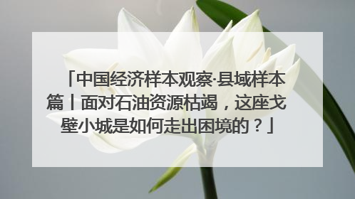中国经济样本观察·县域样本篇丨面对石油资源枯竭，这座戈壁小城是如何走出困境的？