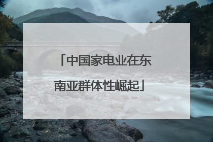 中国家电业在东南亚群体性崛起